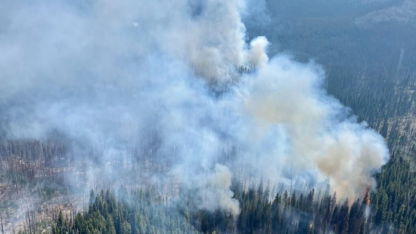 Moose Fire