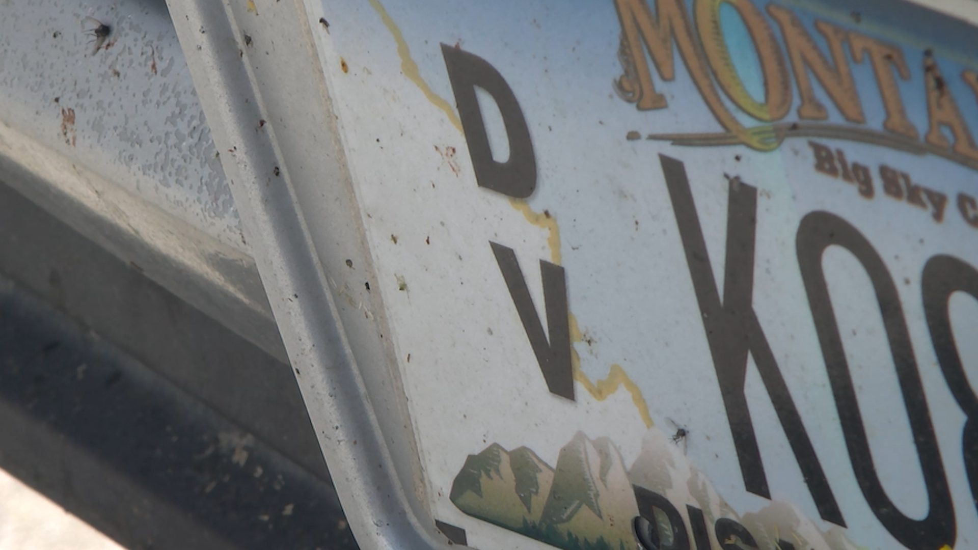 Montana Disabled Veteran Plate