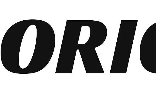 ORION Security Logo