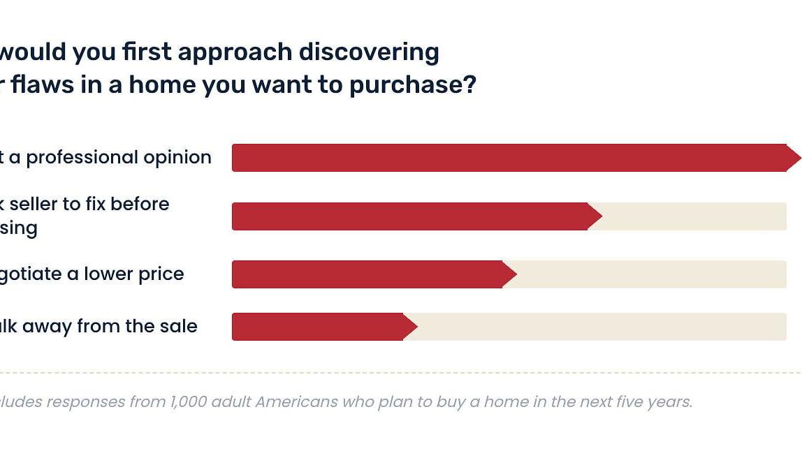 How would you first approach discovering major flaws in a home you want to purchase?