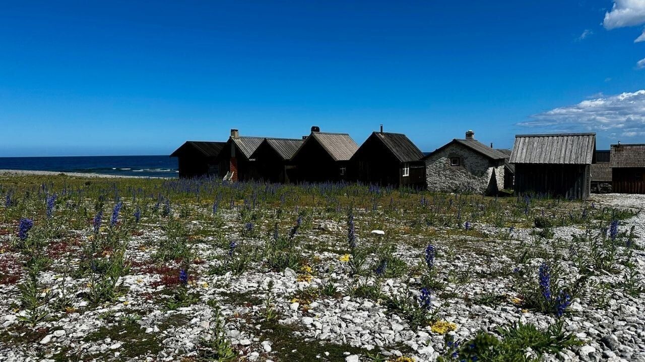 Langhammars Nature Reserve in Fårö