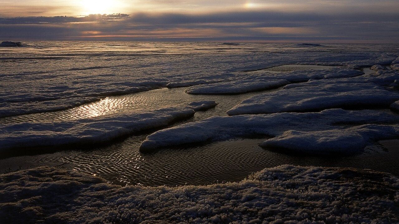 A scientific case for climate optimism with ecologist Tom Crowther