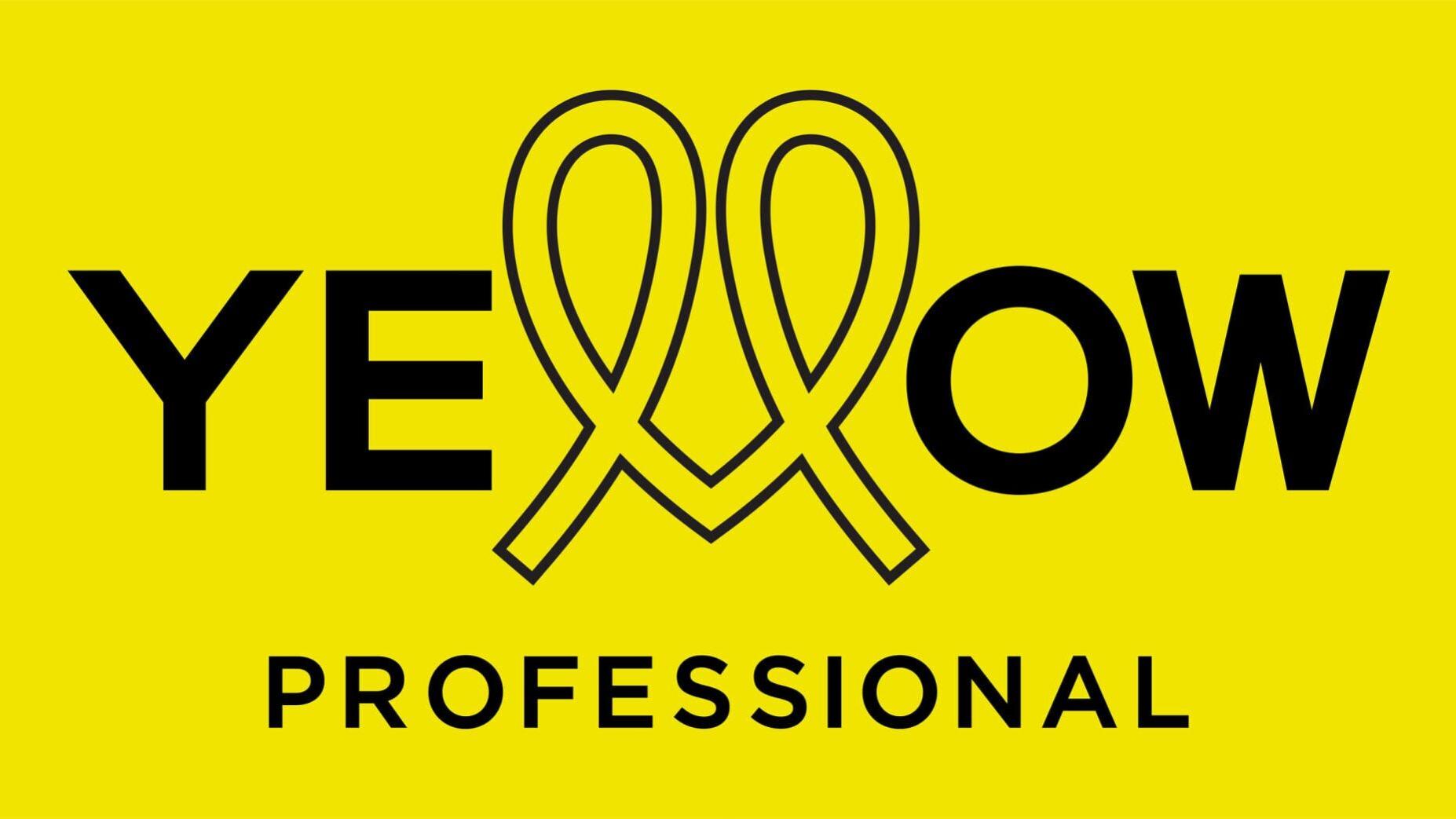Yellow Professional Logo