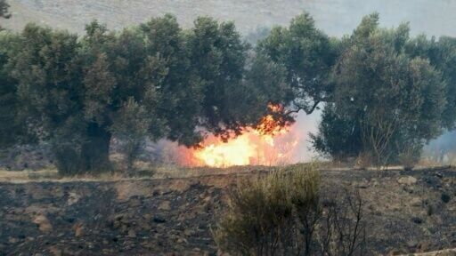 Wildfires continue to burn on the Greek island of Crete