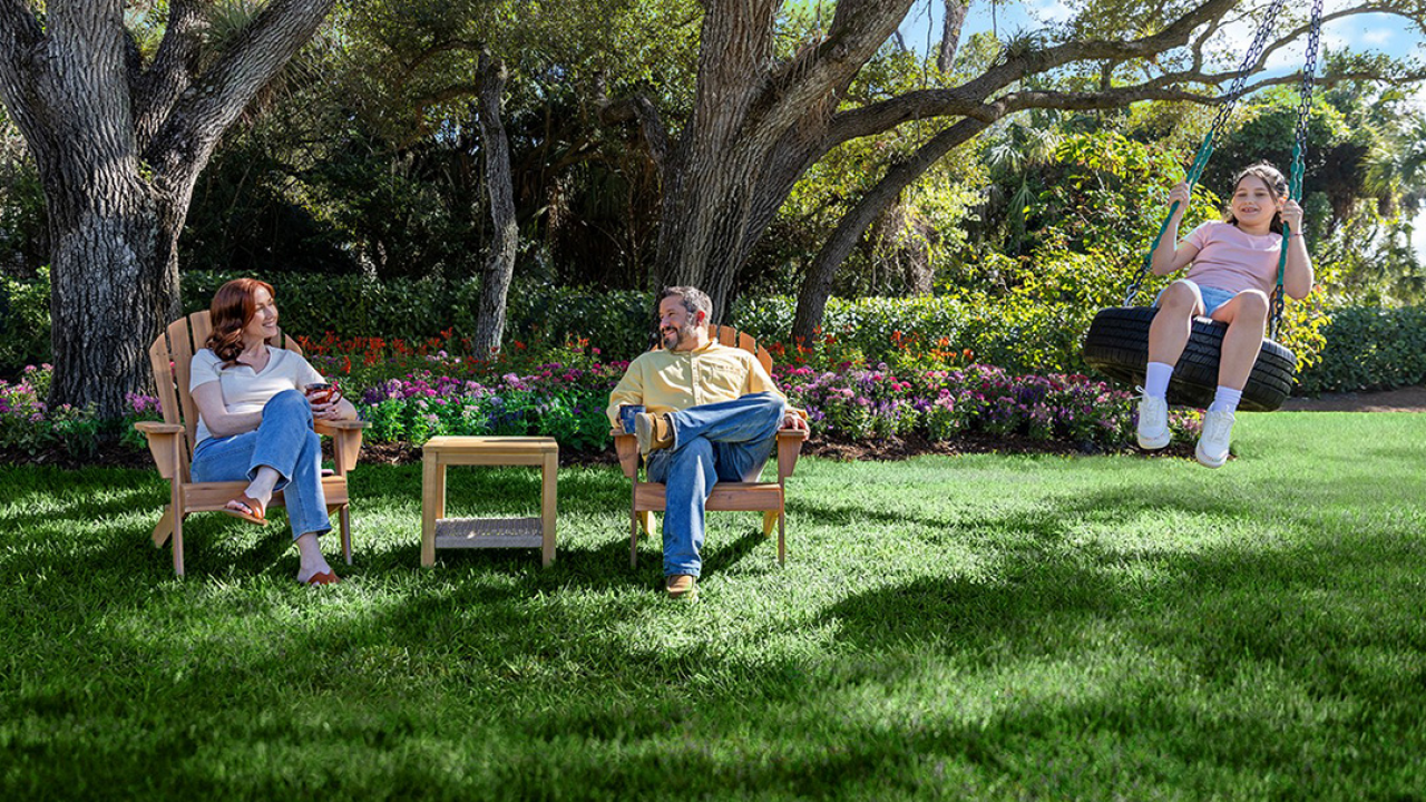 How to prep your lawn for summer in 3 steps: A guide to late spring lawn care