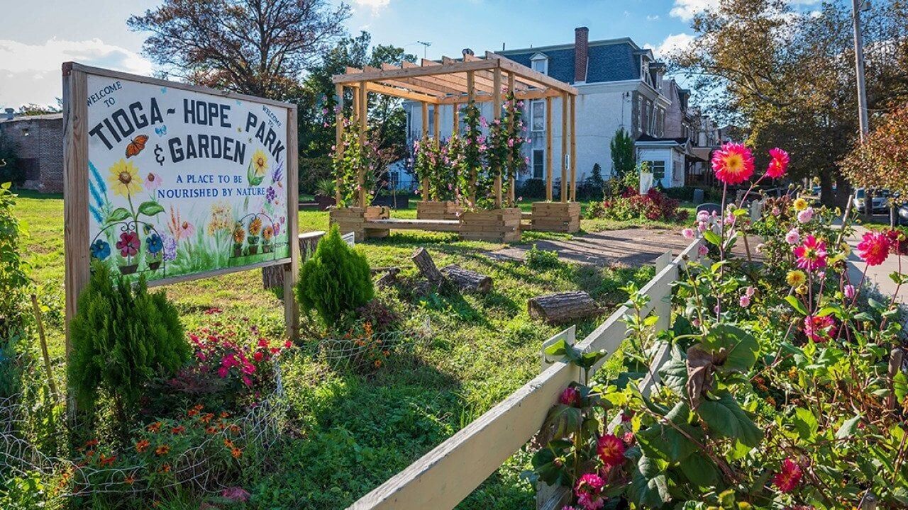 Near this city's new green spaces, a dramatic reduction in crime
