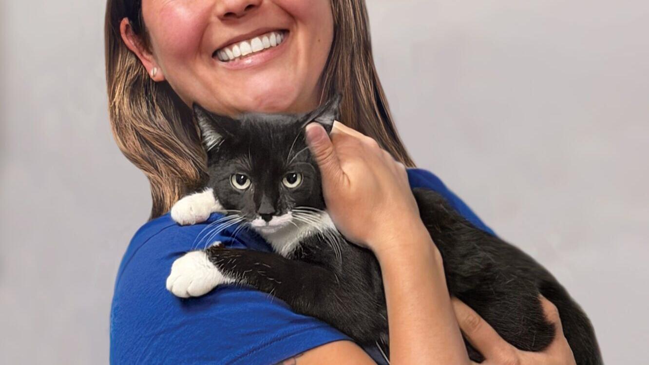 PetSmart Charities National Adoption Week Returns as Kitten Season Peaks Nationwide