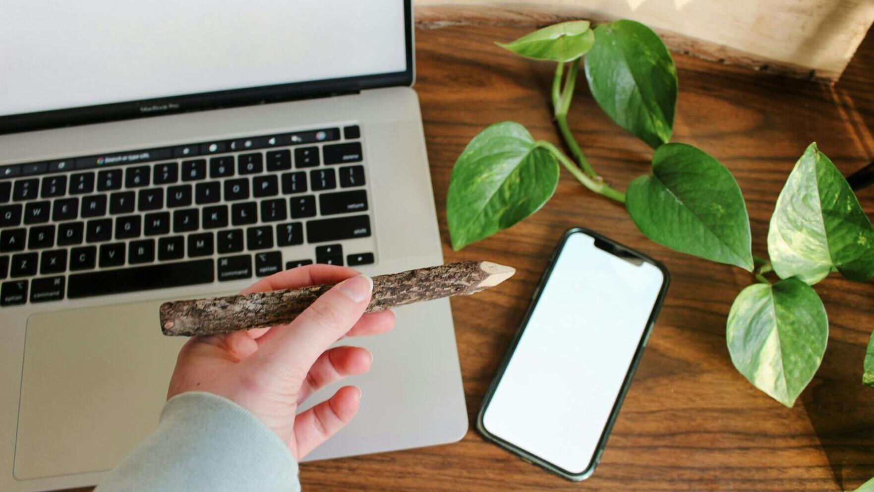 When sustainable practices are pitched to business startups as good for the bottom line and core to the founder's mission, they're more likely to succeed.