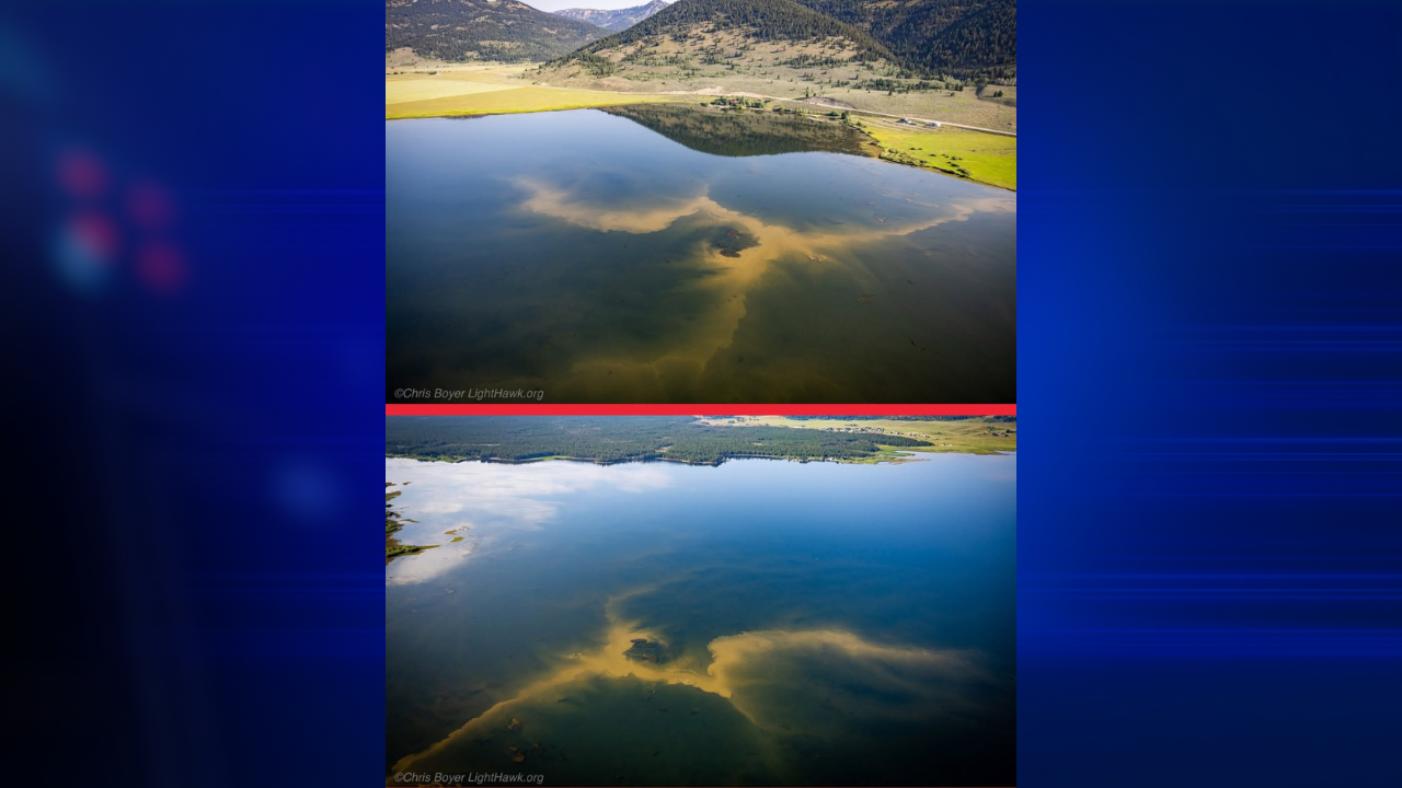 Harmful algal bloom prompts partial closure of Hebgen Reservoir in Gallatin County