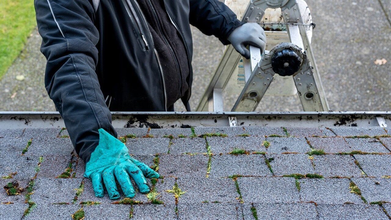 What are the first steps after discovering a roof leak?