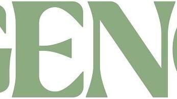 Agency Skin 2026 Logo