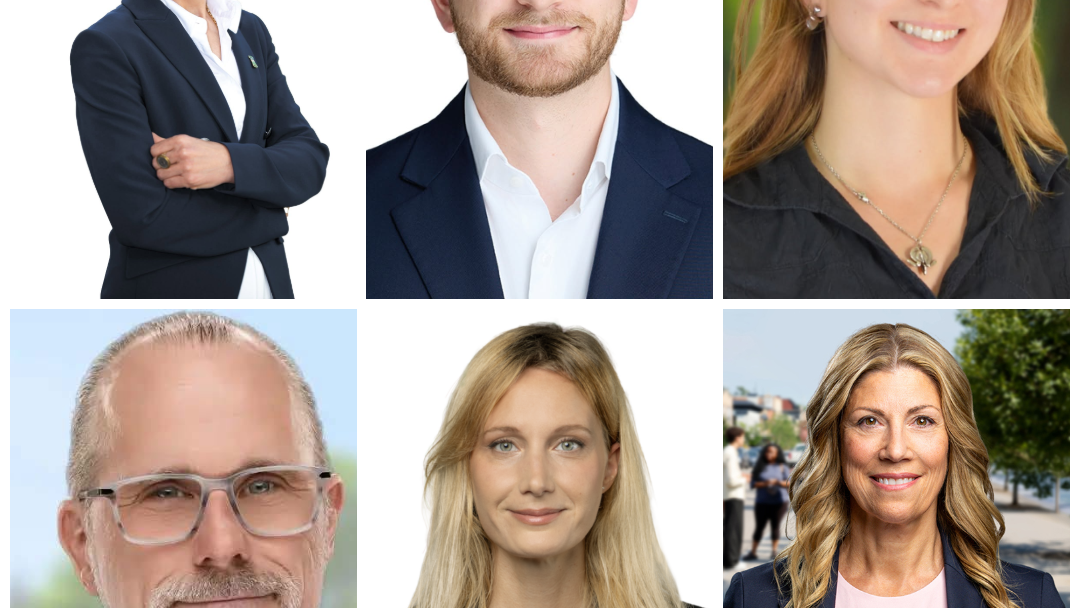 Quebec election 2026, Westmount–Saint-Louis, Maccarone, Haila, Diotte, Piscina, Nezhad, Roop