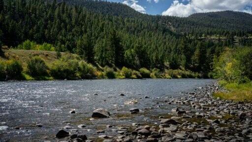 The Rio Grande river is seen flowing in Rio Grande National Forest, Colorado