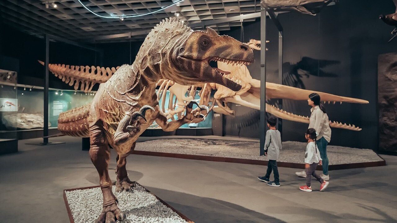 Why kids who love dinosaurs may be smarter than we think