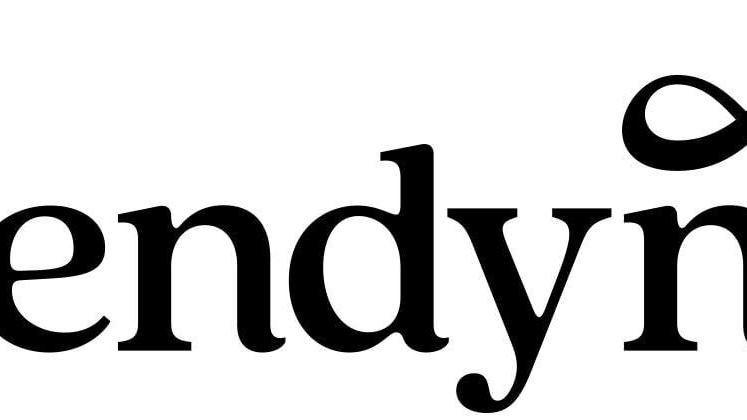 Cendyn Logo (PRNewsfoto/Cendyn)