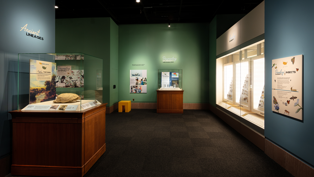 Smithsonian National Museum of Natural History's “From These Lands: Sharing Our Natural and Cultural Heritage”