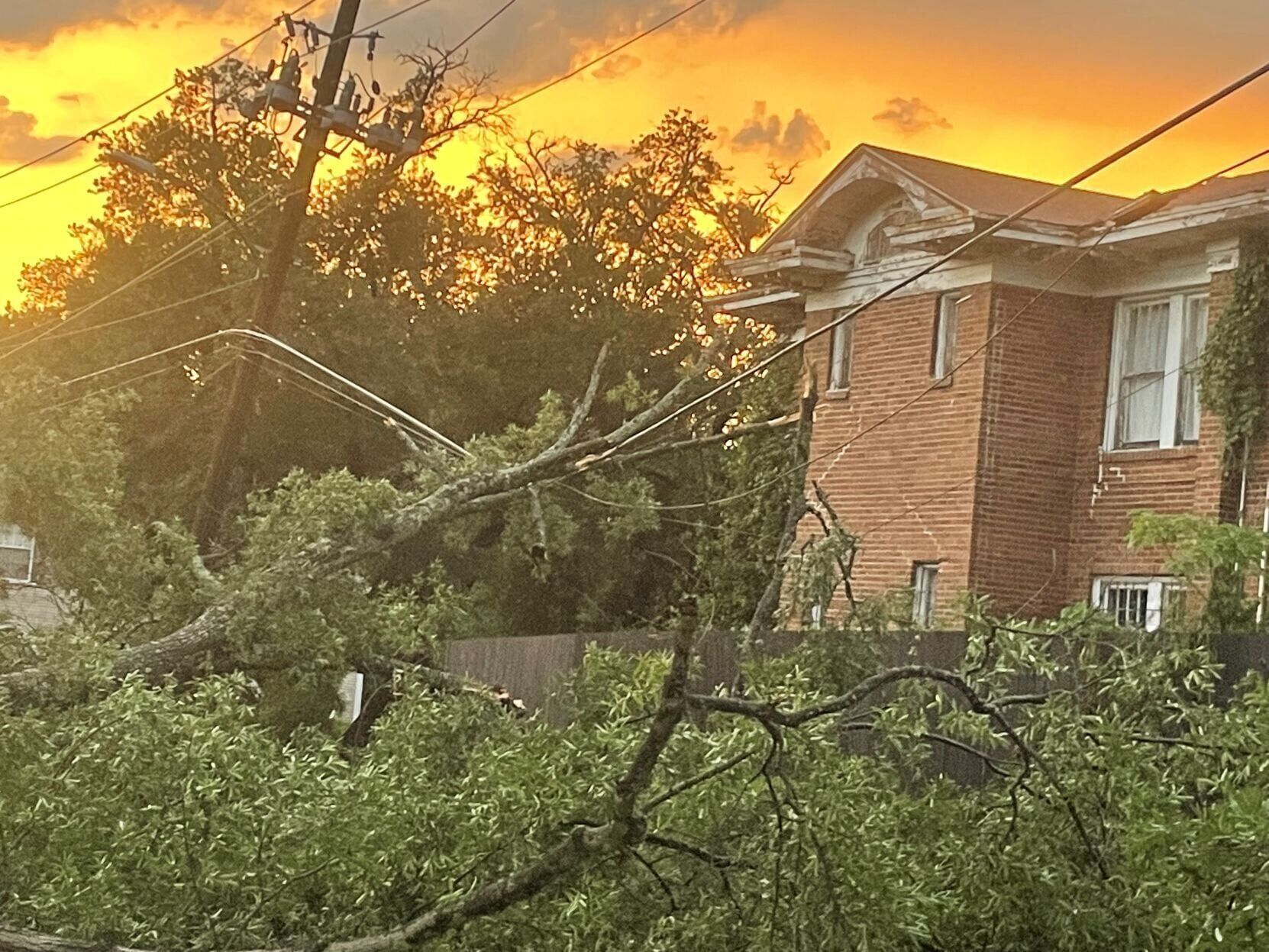 Highland trees down