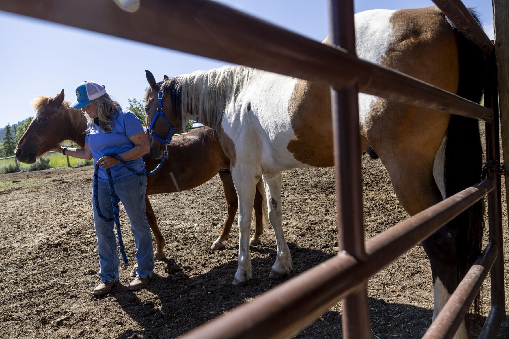 Sunridge Ranch Equine Therapy 07