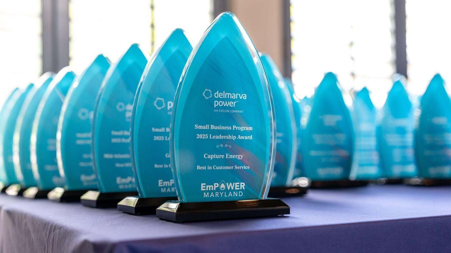 The Pepco "Most Innovative Project" Service Provider Award