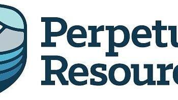 Perpetua Resources Corp. logo