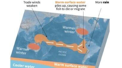 The El Nino phenomenon