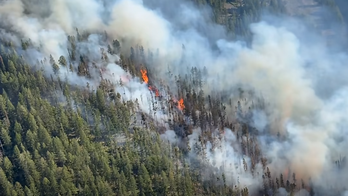 Nature Grove Fire