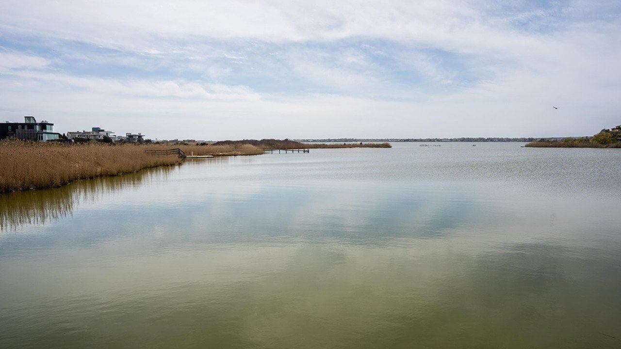 A deadly bacteria is creeping up the Atlantic Coast. How worried should you be?