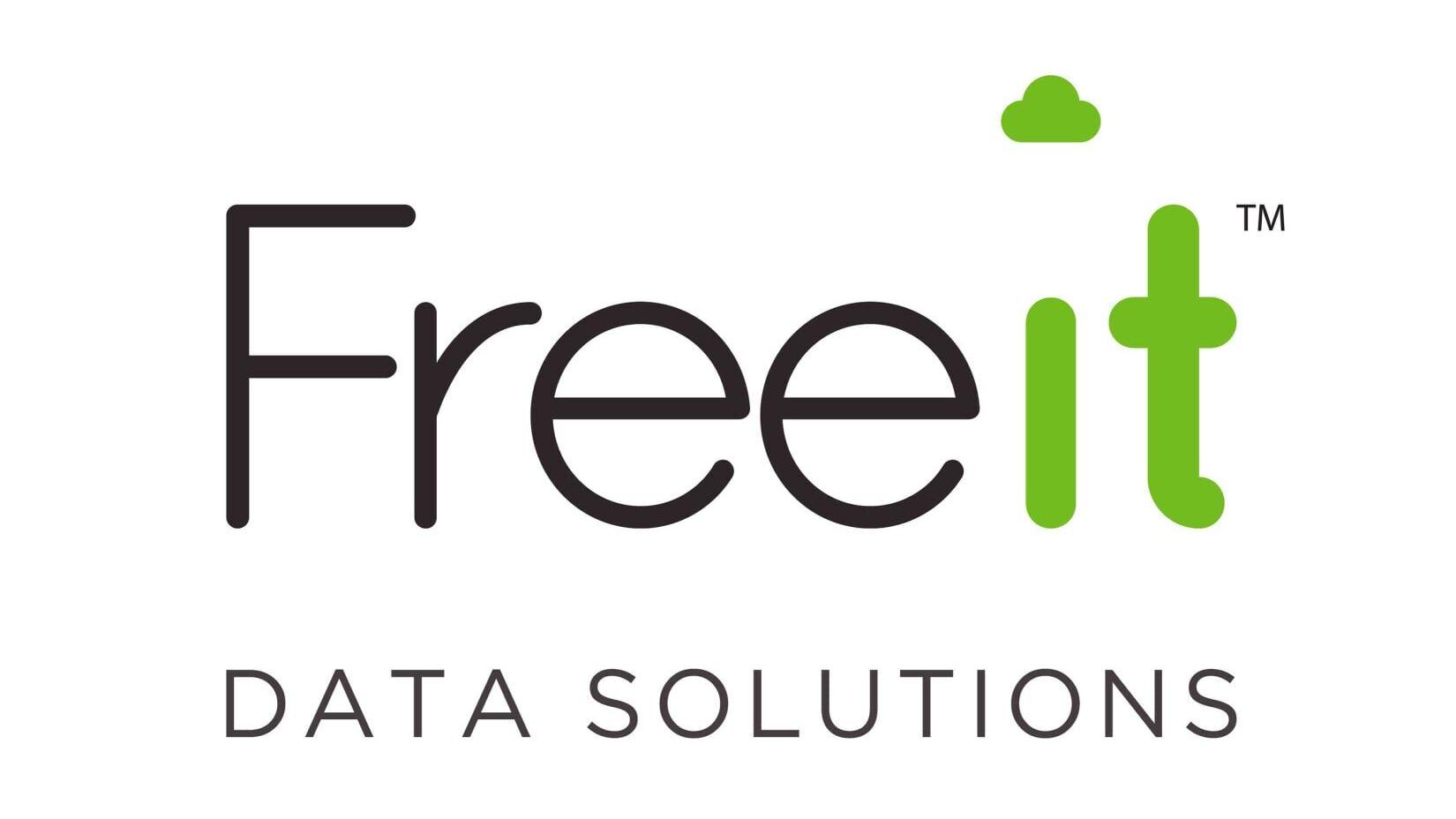 Freeit Data Solutions Logo