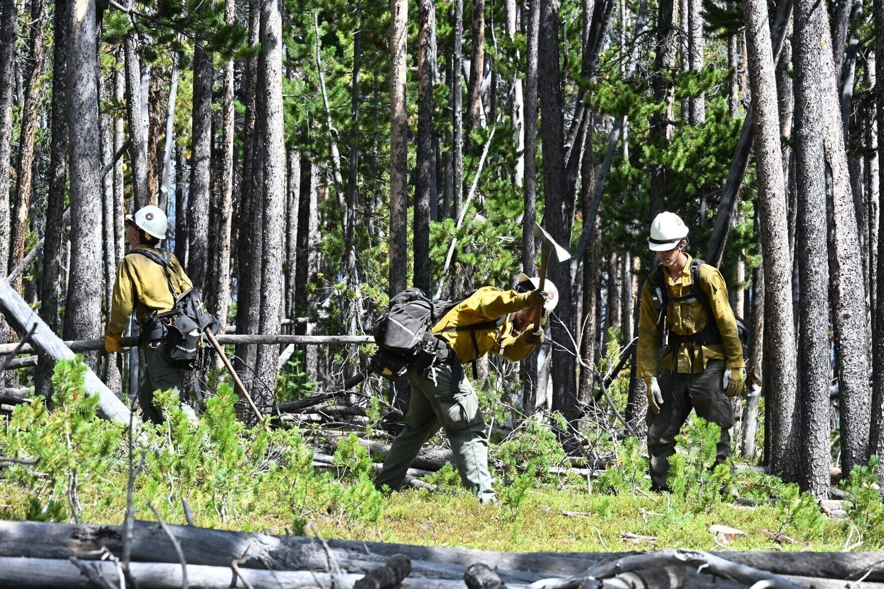 Sand Creek hotshots