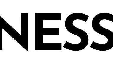 WitnessAI Logo