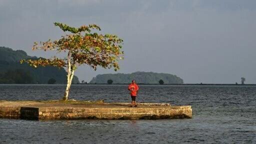 A UN report said up to 1.2 billion could be displaced by sea level rise by 2050, with Pacific island countries experiencing the phenomenon at twice the global average