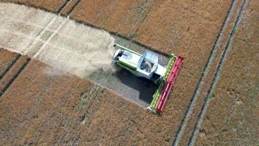 A combine harvester in Gross Machnow, eastern Germany, at the start of the country's harvest in early July