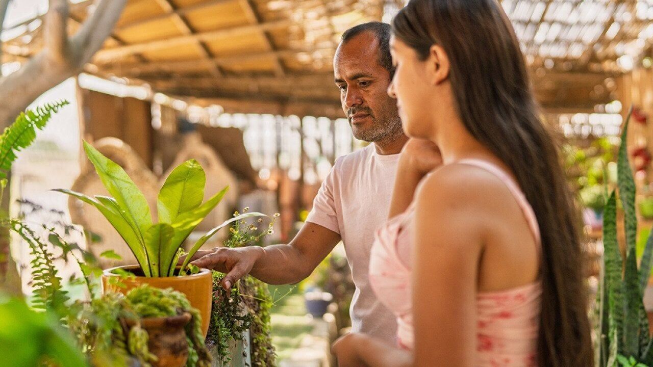 How loyalty programs are powering garden retail stores