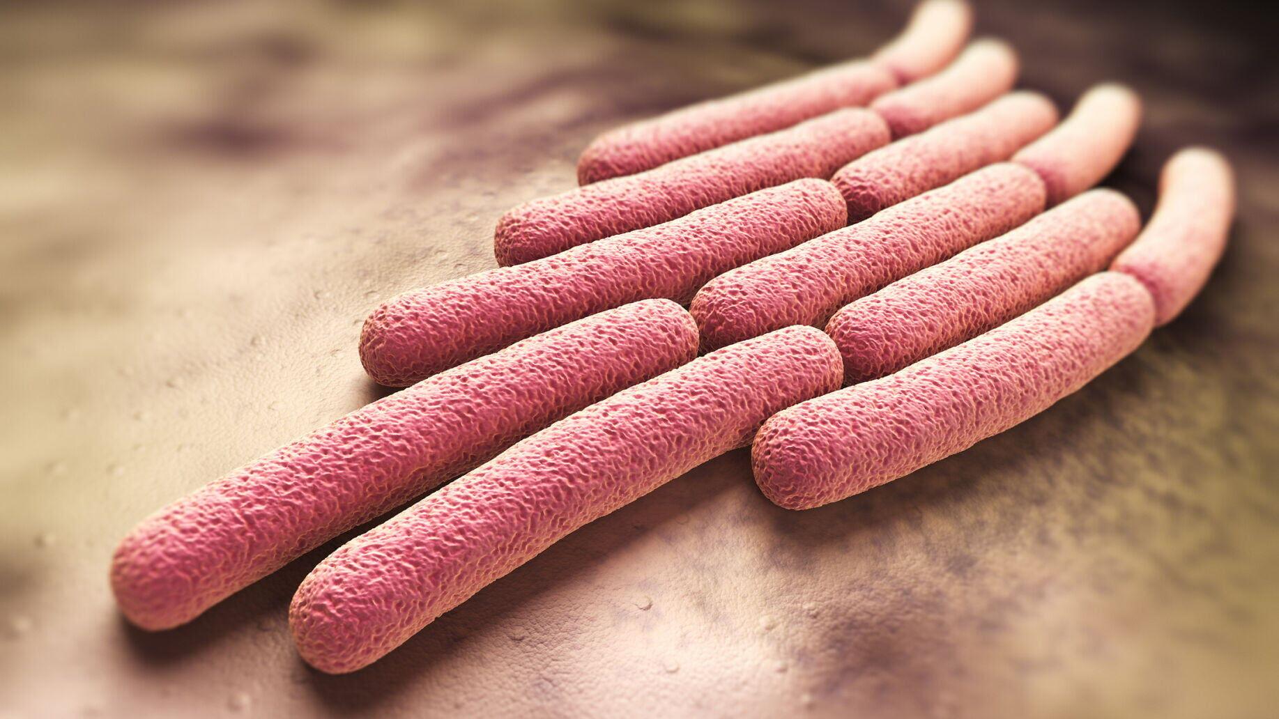 To date, there is no approved vaccine to reduce the risk of Shigella sonnei infections. But a clinical trial shows early signs of success for a new candidate.
