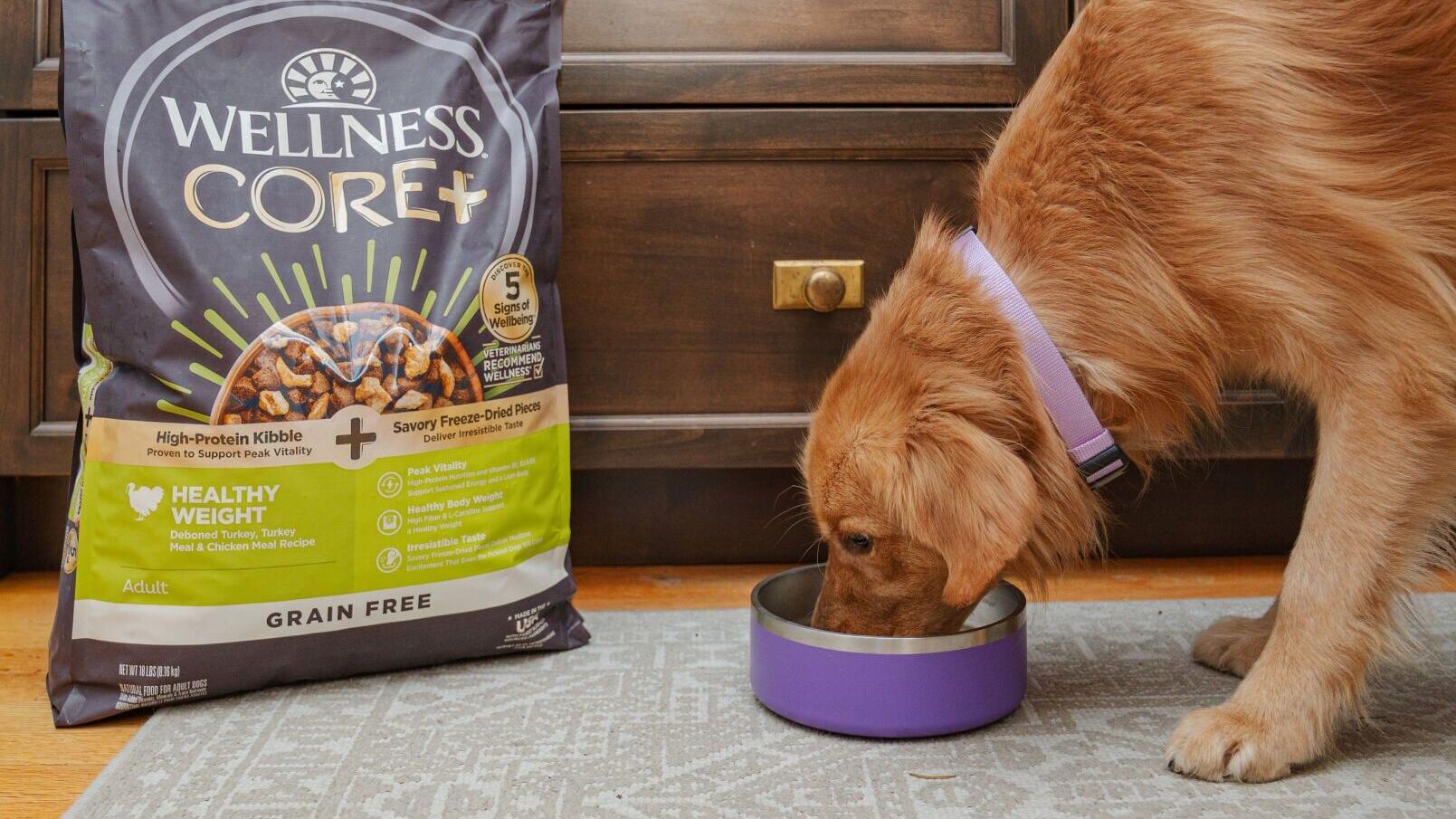 Palatability testing showed Wellness CORE+™ Healthy Weight was preferred over select leading weight management dry dog foods.