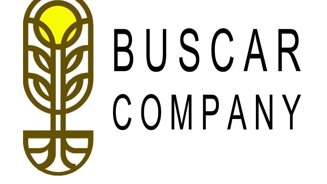 Buscar Company