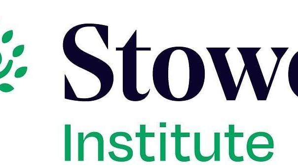 Stowers Institute for Medical Research
