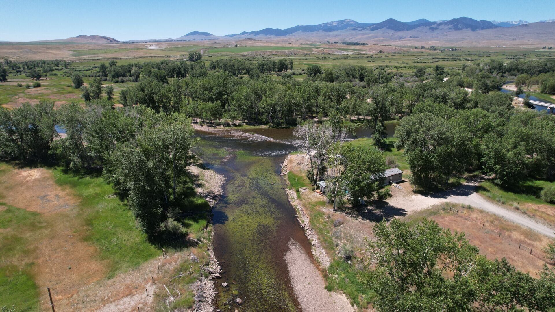 Algae bloom near Glen