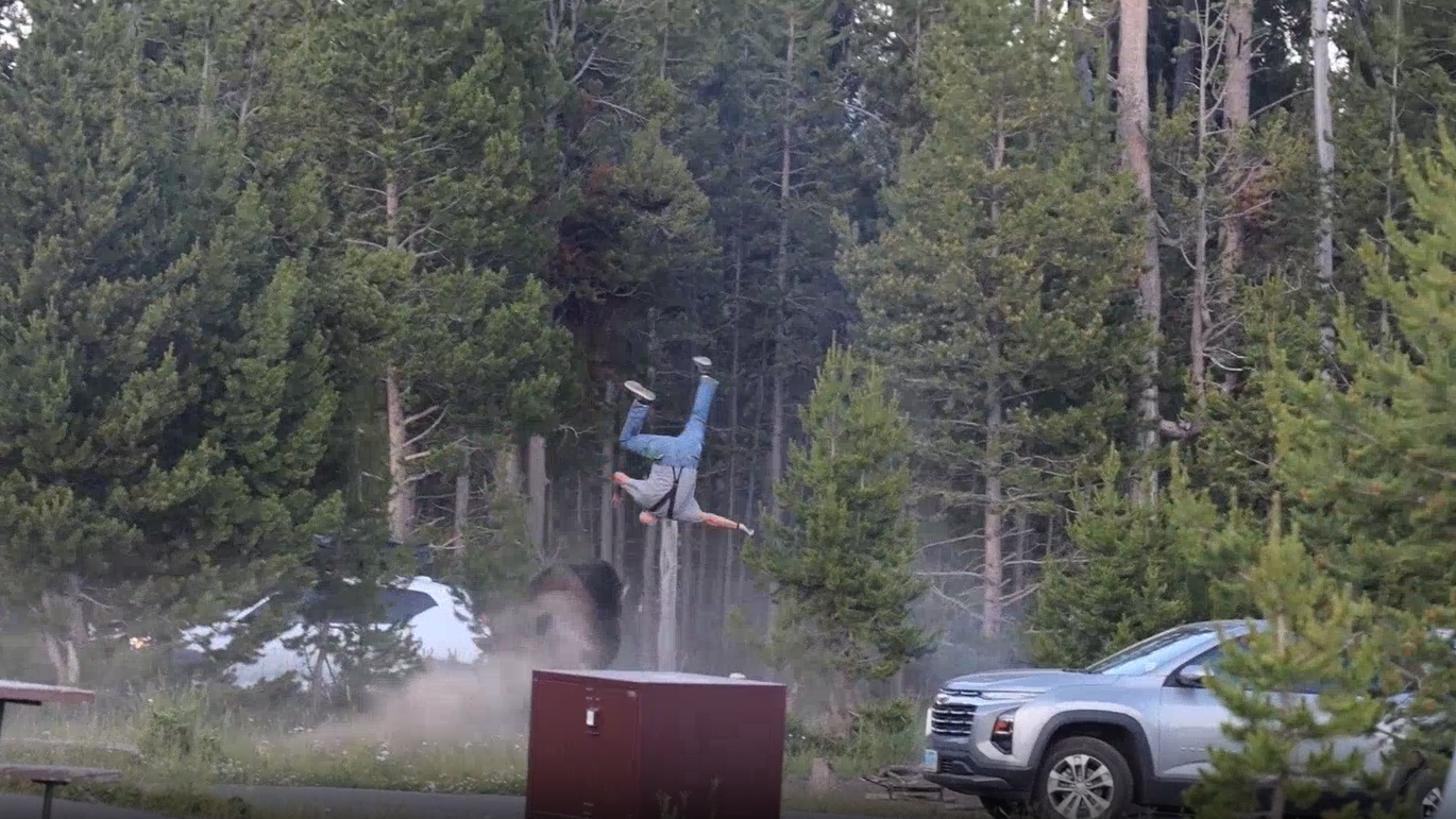 Washington man tossed by bison at Yellowstone, video captures attack