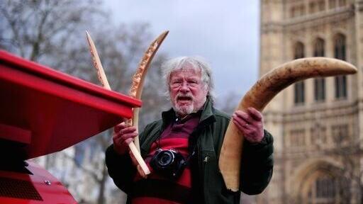 British TV personality and conservationist Bill Oddie holds an ivory tusk and carvings next to a crusher in central London in February 2014, during an event involving the public destruction of ivory