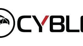 Cyble Inc Logo