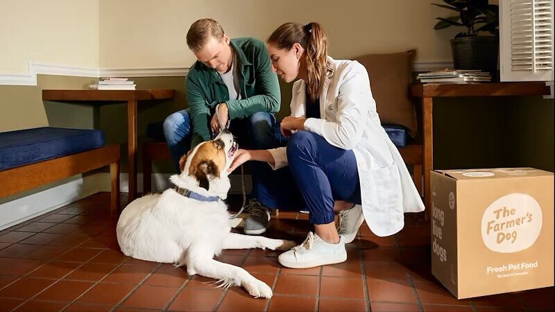 The Farmer's Dog Partners with the University of Georgia College of Veterinary Medicine