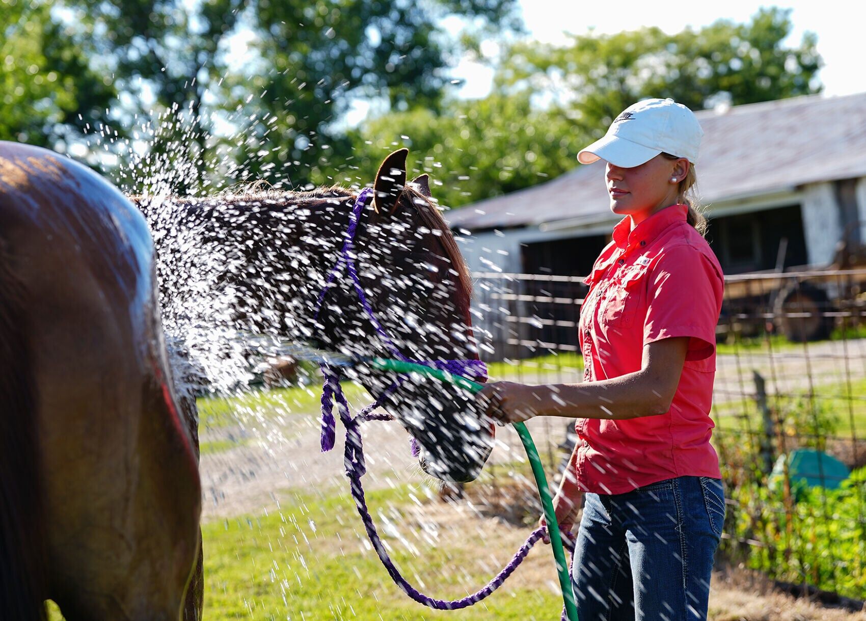 Kail Wood, 15, washes down her horse, Nelly,