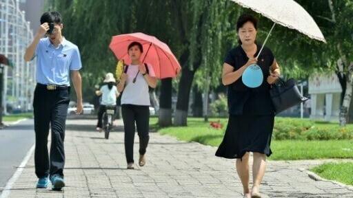 The Korean peninsula is sweltering through a record-hot summer with 23 deaths attributed to the heat in the South