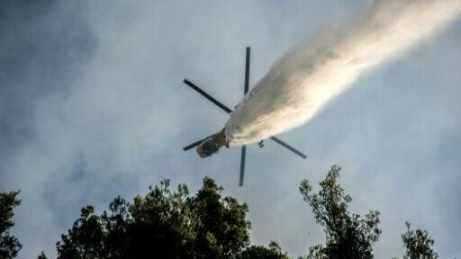 Researchers estimate that some 16,000 hectares of land have been destroyed across the country