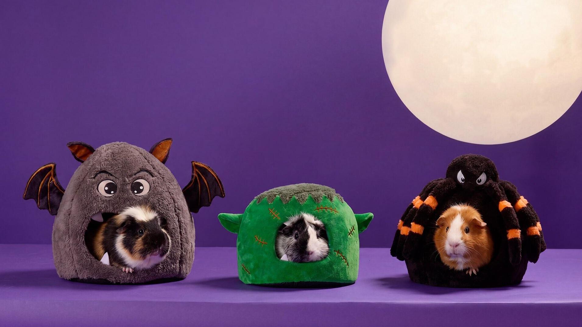 Petco Launches Halloween Drop Featuring Hundreds of Exclusive, On-Trend Finds