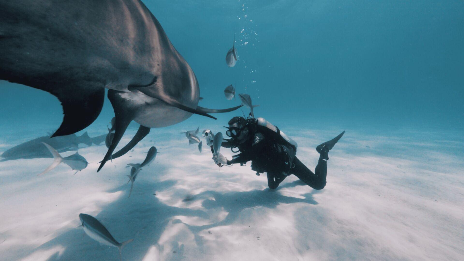 Ari Rabin-Havt holds Insta360 X5 to capture shark footage