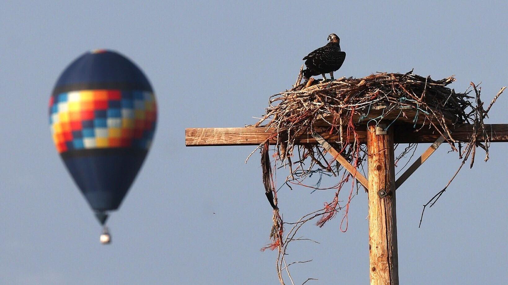 Big Sky Balloon Rally