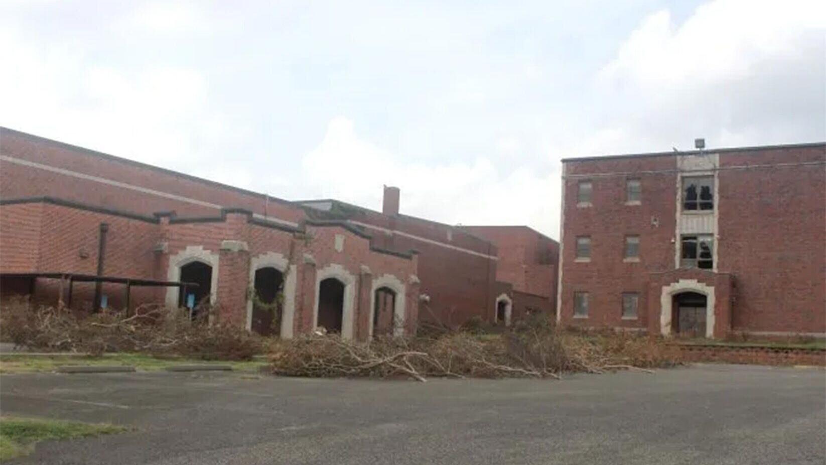 loft-tree-removal10-e1784498740336.jpg
