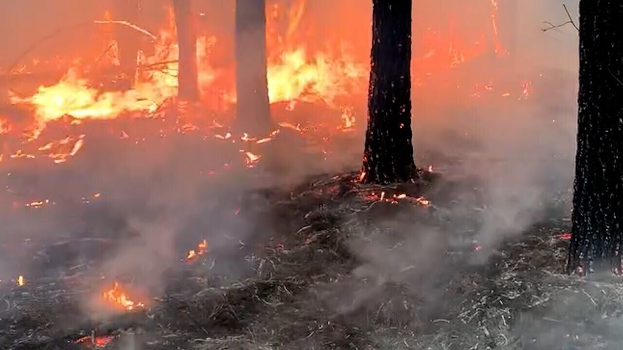 Dry conditions fuel growing wildfire risk across Arkansas